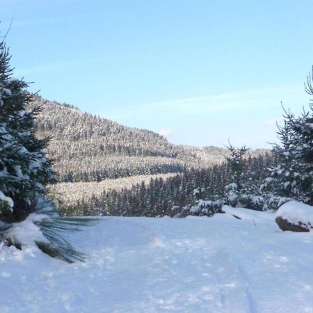 Apartment On The Edge Of The Forest Эслоэ Экстерьер фото
